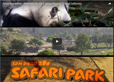 Coastal California Video